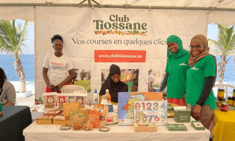 Poste proposé : Agent Commercial / VMC (Vendeur, Merchandiser, Chauffeur)